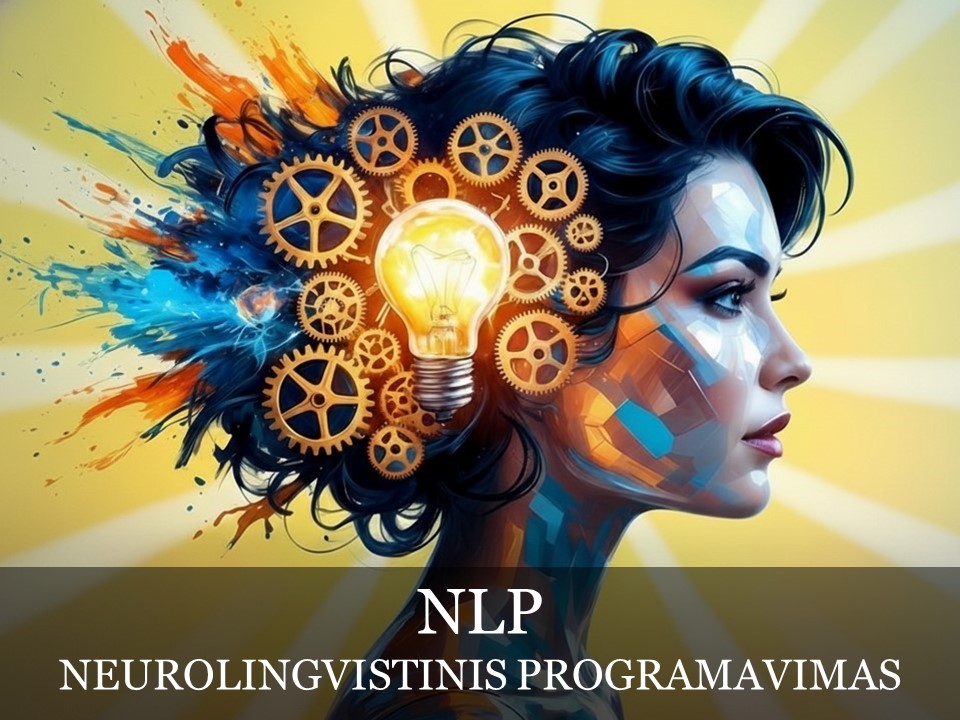VIDEO mokymai – NLP (NEUROLINGVISTINIS PROGRAMAVIMAS) METODAS | METODO TRANSFORMUOJANTI GALIA